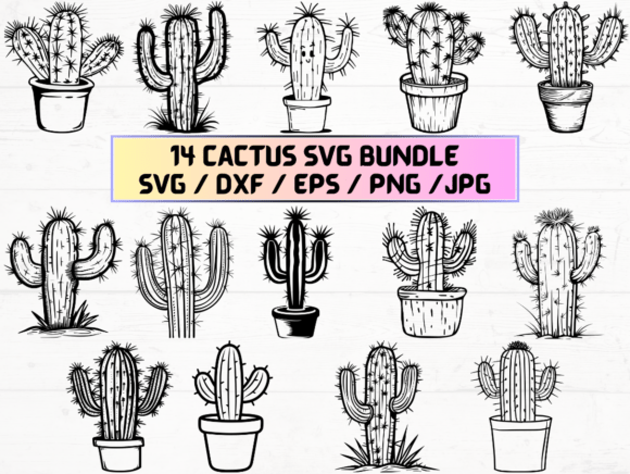 Cactus Engraving Svg: A Versatile Digital Resource for Creative and Practical Applications