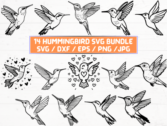 Exploring the Hummingbird SVG File: A Versatile Digital Asset for Designers and Creators