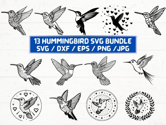 Hummingbird Vector Graphics for Creative Projects