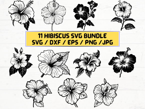 What Is Hibiscus Flower SVG and Why You Should Care